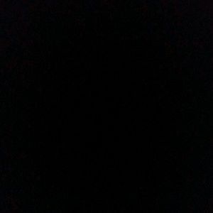 Meet your Posher, Corina